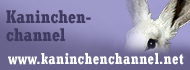 www.kaninchenchannel.net