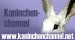 www.kaninchenchannel.net